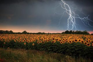 Na Česko se řítí extrémní počasí, platí čtyři výstrahy. MAPA varuje, kde bude nejhůř