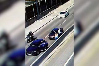 Ostrá rvačka na silnici u bratislavské zoo: policie zveřejnila video a hledá svědky - Novinky