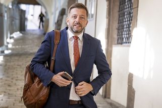 Rakušan trestný čin nespáchal, zjistila středočeská policie - Novinky
