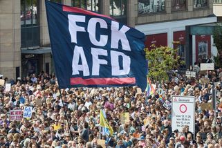 V Německu protestovaly desítky tisíc lidí proti AfD - Novinky