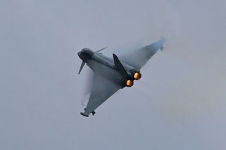 V Litvě kvůli hejnu ptáků startovaly alianční stíhačky - Novinky