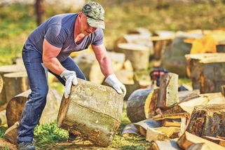 Spolehliví pomocníci: od sekery k pile - Novinky