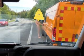 Silničáře na Tachovsku překvapil naháč. Pohrál si s jejich dodávkou - Novinky