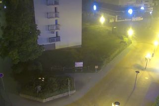 Vandal v Blansku ulámal hlavy třem polystyrenovým plameňákům. Už ho mají - Novinky