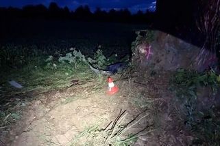 Opilý otec vezl své děti bez sedaček a při nehodě je zabil. Dostal sedm let - Novinky