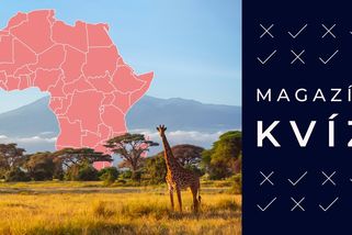 Dokážete vyjmenovat všechny státy Afriky? Zkuste si kvíz - Seznam Zprávy