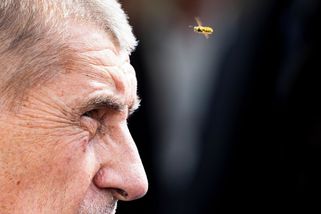 Nekupujme děti za milion. Radši dejme rodičům něco navíc - Seznam Zprávy