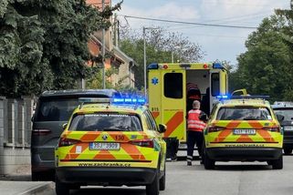Batole u Prahy pokousal pes v obličeji - Novinky