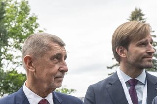 Odměna milion korun za druhé dítě, doživotní daňová úleva za třetí? Babiš řeší porodnost - Echo24.cz