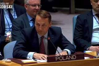 Sergeji, vyřiď šéfovi, že už to stačilo. Sikorski se na zasedání OSN obrátil přímo na Lavrova - Novinky