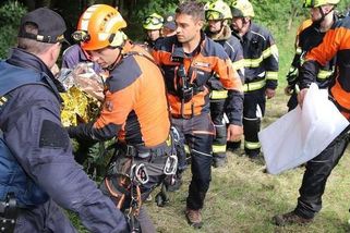 Ztraceného houbaře našli na Jesenicku v příkopu - Novinky