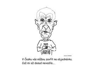 Babiš kritizuje soudy? - Médium.cz