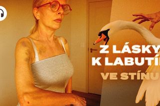 „Dostala jsem ránu pěstí.“ Žena krmila labutě u Vltavy a napadl ji strážník - Seznam Zprávy