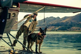 Recenze: V srdci divočiny. Brad Pitt a jeho ovčák bojují s přírodou i scénářem - Seznam Zprávy