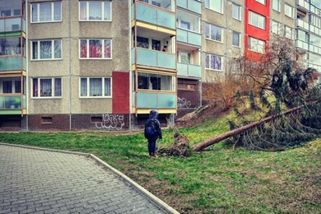 krajskelisty.cz/praha/35657-marek-dobes-pravo-na-otce-je-dulezitejsi-nez-si-stat-mysli-komentar.htm?utm_source=www.seznam.cz&utm_medium=seznam_distribuce&utm_campaign=lide