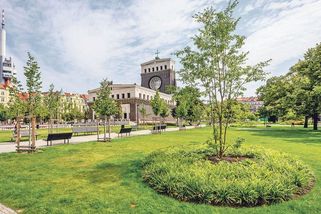 Praha hledá obranu proti vedru i povodním. Odpověď by mohla být modrozelená - Novinky