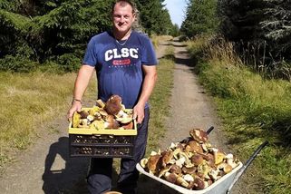 Z lesa vezli houby na kolečku. Houbaři z Mostu našli nevídané množství hřibů