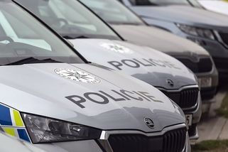 Místo 33 kubíků složil 15. Policie vypátrala šejdíře se dřevem, hrozí mu i vězení