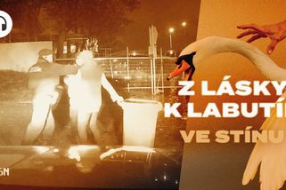 Rána, pád a pak pouta. Kamera ukázala zásah strážníka proti seniorce - Seznam Zprávy