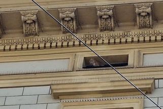 Hasičské manévry v centru Brna. Podívejte se na kočku, která za to mohla - Novinky