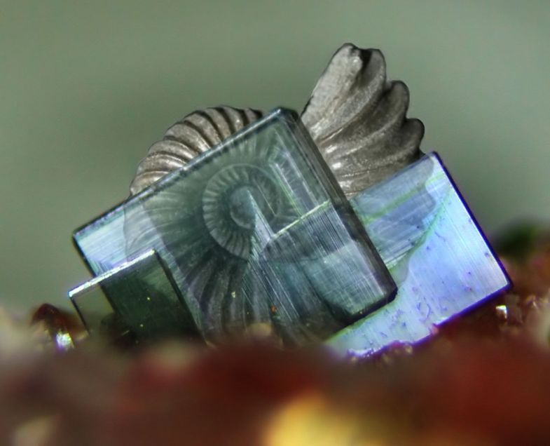 Mineralienatlas - Fossilienatlas