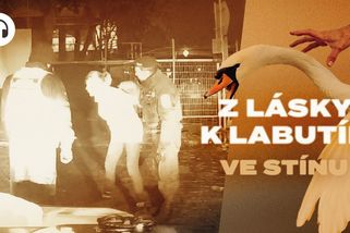 Všechno natočily kamery. Proč se rána pěstí od strážníka řeší už rok a půl - Seznam Zprávy