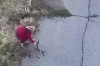 Video: Ukrajinská seniorka zneškodnila ruský dron - Seznam Zprávy