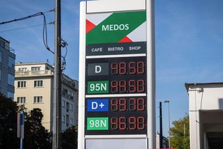 Vláda nás znovu nutí prodávat pod cenou, říkají malí čerpadláři - Seznam Zprávy