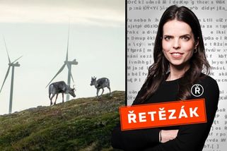 Odpůrci větrných elektráren vytáhli do boje s deformovanými sobími mláďaty - Novinky