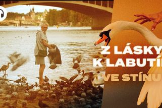 „Bohatší se práv doberou snáz.“ Debata o ráně pěstí od strážníka - Seznam Zprávy
