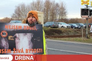 U jatek v Kostelci dnes stáli aktivisté. Lidé nechtějí změnit své myšlení, říká mladá veganka