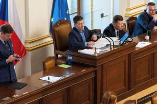 Sněmovna nedokončila druhé kolo debaty o trestnosti neplacení výživného - Seznam Zprávy