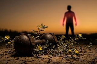 Tribulus terrestris: Muži ho kupují kvůli testosteronu - pomáhá ale opravdu? - Médium.cz