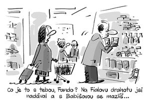 KEMEL: Mazlení s Babišovou drahotou - Novinky