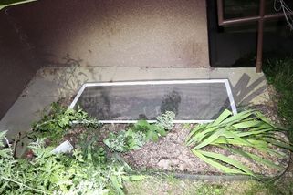 Lupič na Karvinsku proniká do bytů skrz okenní ventilace - Novinky