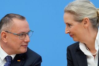 AfD poprvé dosáhla v průzkumu 30procentní hranice - Novinky