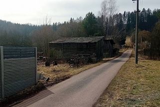 Noční drama: Vlk běžel přímo na mladého muže. Nezastavily ho ani výstřely
