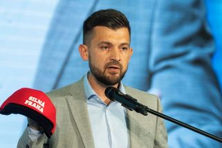 ANO chce zatočit s živly v metropoli. Straničtí primátoři by o složitosti mohli vyprávět - Novinky