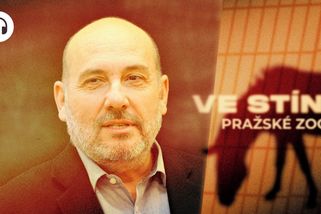 Zoo půl roku bez zuřivého šéfa. Žili jsme v bludu, přiznává vedení Prahy - Seznam Zprávy