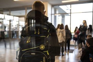 Bodnutí vosou, alergické reakce. Rodiče chtějí odškodné i za malé školní úrazy - Seznam Zprávy