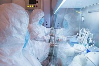 Objevují se zprávy o druhém nakaženém. WHO žádá Rusko o informace o výskytu moru - Novinky