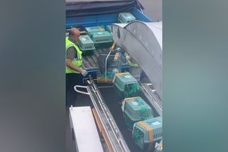Na čínském letišti házeli se zvířaty jako s kufry