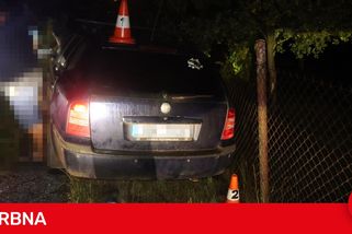 Cizinec si dal před jízdou litr vodky a piva, v Havlovicích to poslal do plotu