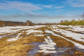 Bude sněžit? Meteorologové zveřejnili první výhled na zimu - Novinky