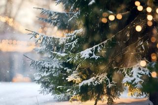 Čekají nás letos bílé Vánoce? Meteorologové právě zveřejnili první výhled
