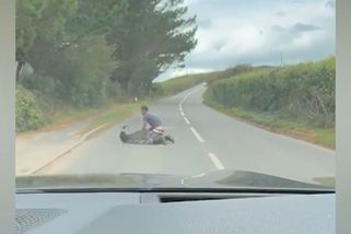 Muž v Anglii zápasil na silnici s uprchlým ptákem emu. Motorista natáčel - Novinky