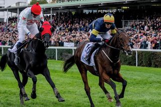 Déjà vu? Prostě nás zase porazil lepší kůň, smutní Faltejsek po Velké pardubické - Sport.cz