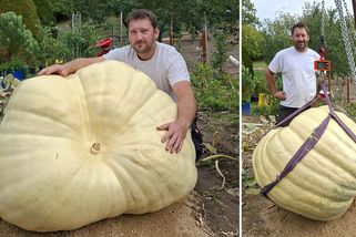 Rekordní česká dýně váží 296 kilo, pěstiteli z Vysočiny rostla před očima - Novinky