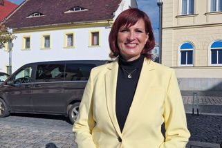 Vítězství i zmar. Volfová porazila Půtu v boji o Senát, ale ztratila radnici v České Lípě - Novinky