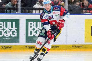 Košťálek vyfasoval flastr za napadení rozhodčího, trestán je i další hráč Pardubic - Sport.cz